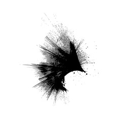Poster - Abstract black ink splatter design with radiating lines and scattered dots on a white background surface art