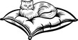 © smth.design - Elegant long haired cat relaxing on soft decorative cushion, cozy home pet comfort, peaceful domestic scene
