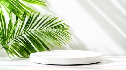 Aufkleber - Minimalist white podium with green background, leaf casting a shadow on a white palm ideal for showcasing beauty or wellness products