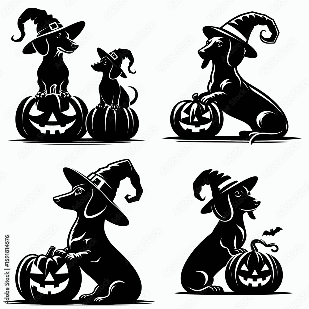 Dachshund Dog wear witch hat and sitting on jack o pumpkin. Halloween ...