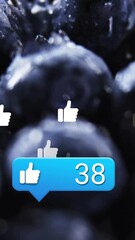 Aufkleber - blueberries with social media like icons and 41 likes animation