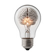 © MMM - A light bulb with a brain inside of it [Transparent Background PNG].