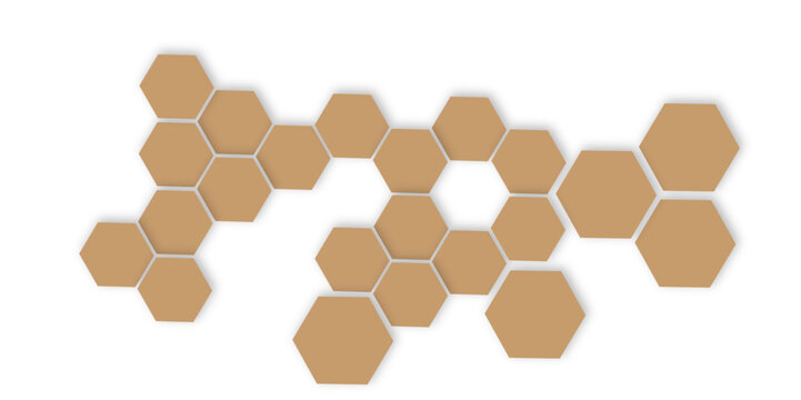 Abstract color flower hexagon flat for frame design element banner vector illustration .