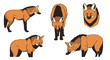 © Alexander - Maned wolf illustrations showcasing various poses and angles