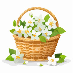 Poster - A charming illustration of a woven basket overflowing with delicate white jasmine flowers, green leaves, and buds, set against a clean white background.