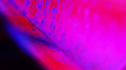 Poster - Red and purple chemical liquid surface, phenomenal abstract photography
