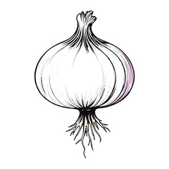 Poster - An illustration of an onion with roots in grayscale art on transparent background