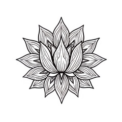 Poster - A detailed line drawing of a lotus flower in monochrome style on transparent background