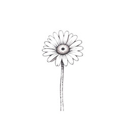 Poster - A stylized daisy flower with a jeweled center isolated view on transparent background