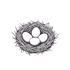 Poster - A bird's nest made of twigs with four empty egg spaces view on transparent background