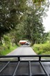 © Baudalab - Fuel Tanker in Forested Area. Fuel tanker truck driving on an empty highway at sunset
