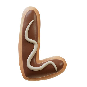 3D Font.Chocolate Biscuit Donut Font Concept. Isometric Alphabet. Numbers And Letters. 3d rendering isolated on white background