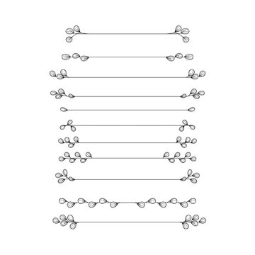 Floral Eucalyptus Line Divider Collection border for text layout separator decoration vector element set