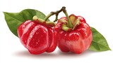 Two vibrant red garcinia fruits with green leaves, still wet, on a bright background