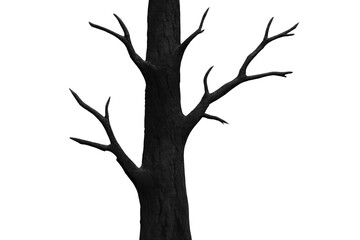 Poster - 3d rendering of a dark, bare tree with gnarled branches extending against a transparent background, perfect for spooky or environmental projects