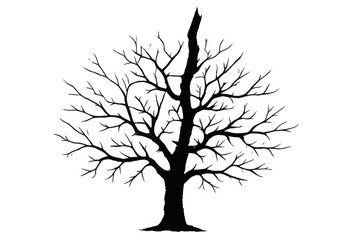 Poster - Black silhouette of a bare tree with broken branches, isolated on transparent background, ideal for nature-themed designs