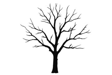 Poster - Black silhouette of a leafless tree, isolated on a transparent background, perfect for nature-themed designs