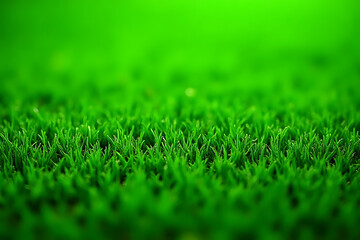 Poster - Close-up view of vibrant green grass blades with soft focus background creating a natural texture and fresh appearance 1