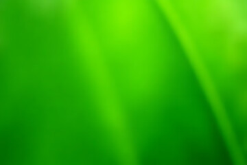 Aufkleber - Bright green abstract background with diagonal light streaks and soft blurred gradients creating a natural texture