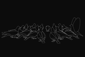 Poster - A flock of pigeons in clean contour line art stands out against a solid black background. The minimalist design emphasizes the birds' silhouettes with sharp contrast. Each pigeon is drawn with smooth.