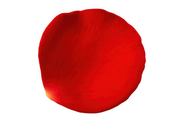 Poster - Vivid red rose petal floating against clear backdrop, representing passion and elegance