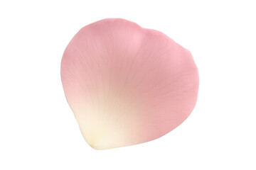 Aufkleber - Delicate pink rose petal isolated on a transparent background, perfect for romantic or beauty-themed projects