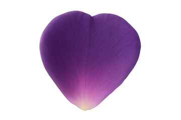 Poster - Purple heart-shaped petal with gradient from dark purple to light yellow at the tip, isolated on a transparent background