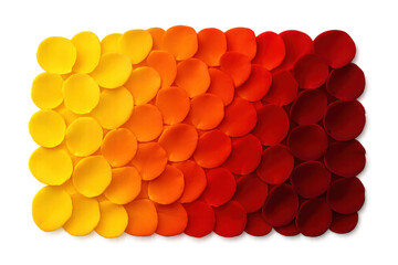 Poster - Rose petals arranged on transparent background, creating a gradient from yellow to red, perfect for design projects
