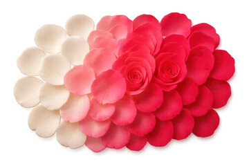 Poster - Rose petals and flowers forming a gradient from white to pink and red, isolated on a transparent background