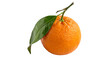 © Anatoli - Fresh Mandarin Orange With Green Leaf on transparent background, showcasing freshness