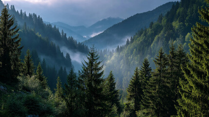  Misty Mountain Vista: A serene panorama unfolds as a tranquil valley, shrouded in a soft mist, is embraced by towering evergreen trees and rolling mountain ranges.