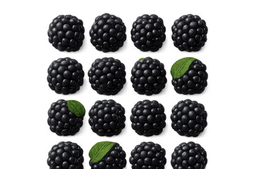 Fototapete - Ripe blackberries neatly gridded, green leaves highlighting fresh fruit texture against clean transparent backdrop