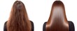 © teostudio - Damaged hair transformed into silky smooth locks