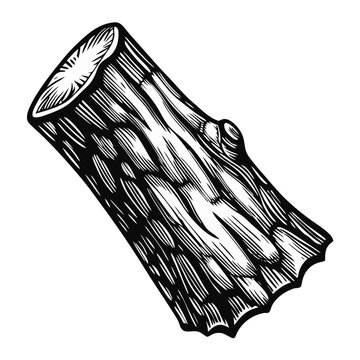 Bark texture close up with detailed wood grain and natural surface patterns. Bark texture is meticulously rendered, showcasing intricate details and organic structures, creating visual depth.