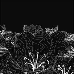Poster - A black and white illustration of a detailed cactus plant with visible leaves and stems, set against a dark background. The contour style highlights the intricate details of the flowers and overall.