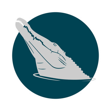 The crocodile's head appears on the surface