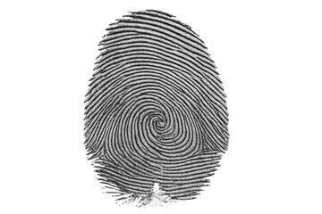 Poster - Fingerprint represents biometric security, personal identification, and access control on a transparent background