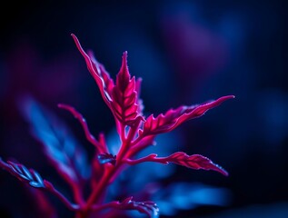 Poster - Dramatic close-up of vibrant red leaves against a dark blue and purple backdrop adding depth