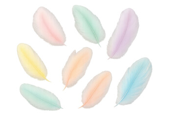 Aufkleber - Delicate multicolored feathers drifting softly, creating ethereal pastel pattern against transparent backdrop