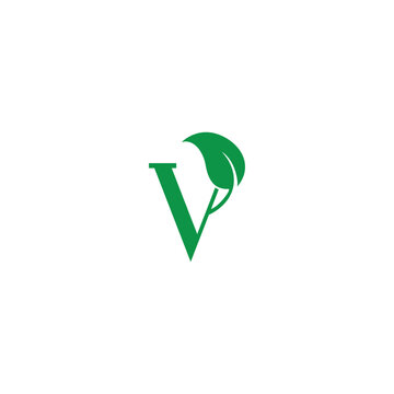 v leaf logo. vector illustration of the letter V and leaves for icon, symbol or logo