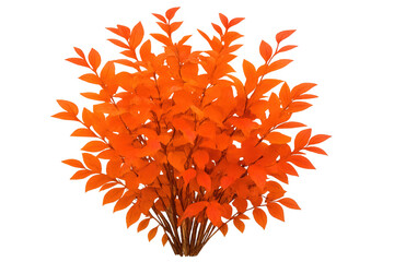 Poster - Close-up of a bush with vibrant orange leaves, isolated on a transparent background, perfect for nature-themed projects