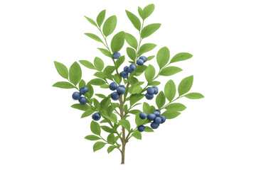 Fototapete - Realistic illustration of a blueberry branch with ripe berries and green leaves, isolated on a transparent background, perfect for food and nature-themed projects
