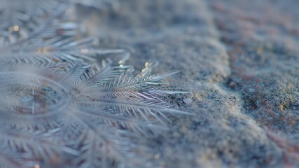 Poster - Macro shot of frost patterns on a stone surface with bokeh effect emphasizing the delicate ice crystals texture and detail