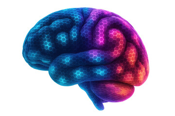 Poster - Colorful 3d rendering of a human brain with a futuristic hexagonal pattern, symbolizing neural network activity and advanced technology, isolated on transparent background