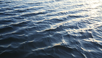 Poster - Peaceful water surface with gentle waves reflecting soft sunlight, creating calm and serene natural scene with subtle motion and blue tones
