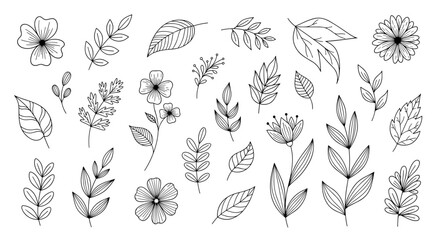 Poster - Collection of hand drawn floral elements including flowers leaves and branches in black and white style
