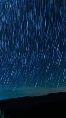 Wall Mural - vertical shot star trails above bakersfield astrophotography night sky time lapse in california usa