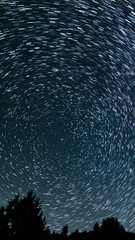 Wall Mural - vertical shot star trails of panorama summer stargazing astrophotography night sky time lapse in cal