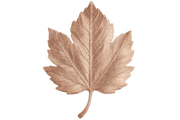 Poster - Golden leaf with highly detailed veins isolated on a transparent background, perfect for nature-themed projects