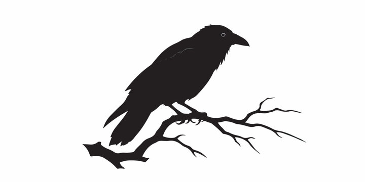 Striking vector silhouette of a crow perched on a branch, rendered in solid black with clean, sharp outlines